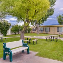 A peaceful courtyard with benches and picnic tables surrounded by trees and a building.