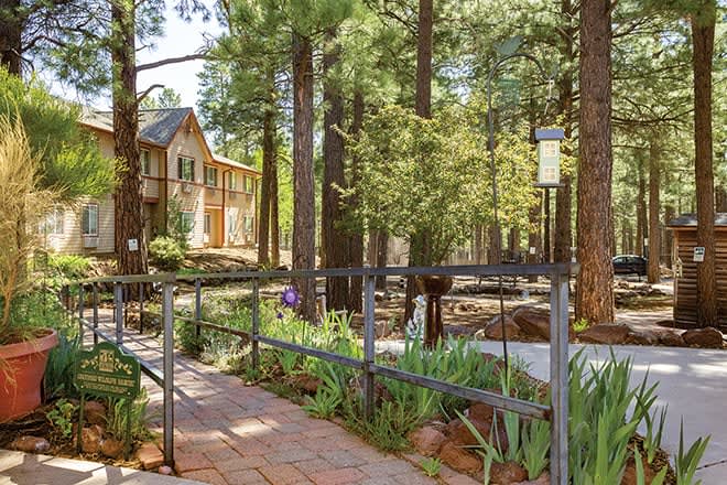 A serene pathway leading to a house nestled among tall pine trees in a lush forest setting.
