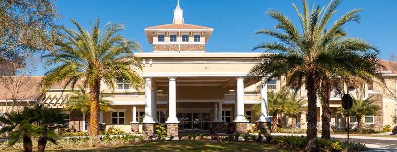 A sunny view of a building entrance featuring columns and palm trees.