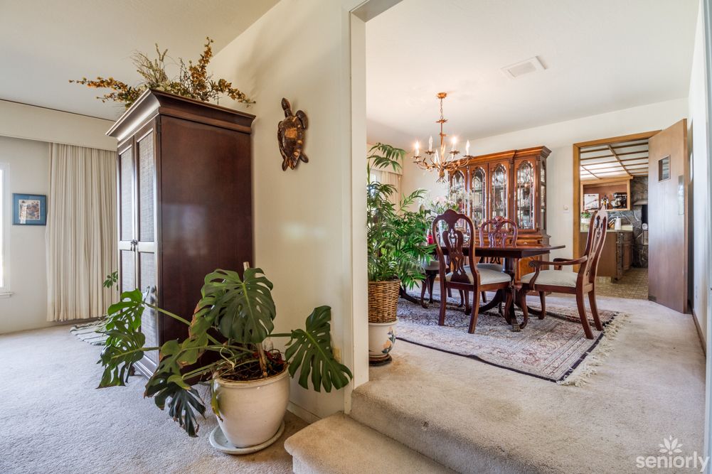A traditional dining room with elegant furniture, indoor plants, and a chandelier.