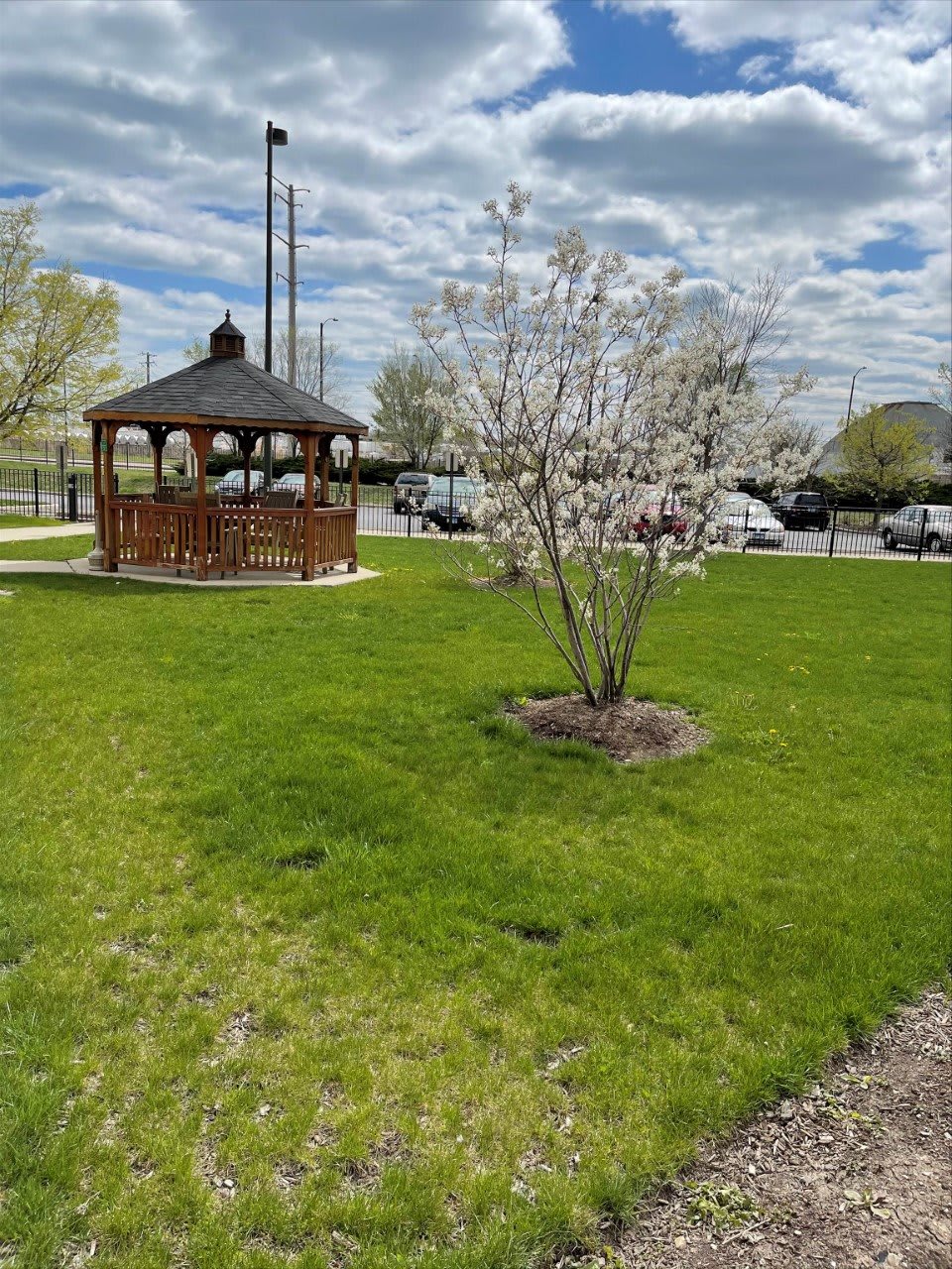 A peaceful park scene with a gazebo and a blossoming tree.