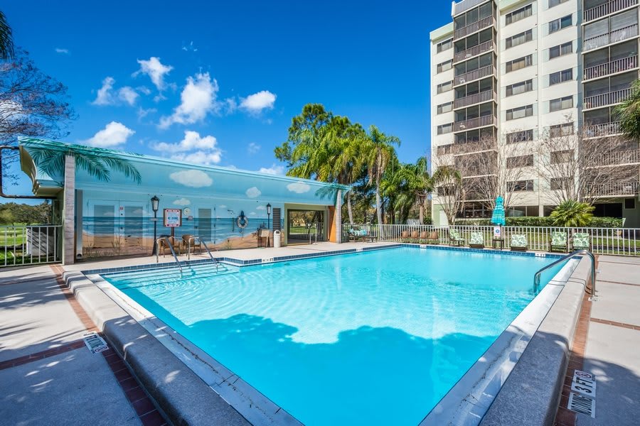 A refreshing swimming pool with an ocean view, surrounded by palm trees and a tall building under a bright blue sky.