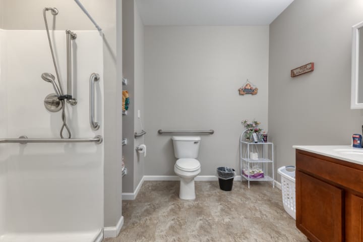A modern, accessible bathroom featuring a toilet with grab bars and a shower with safety handles.