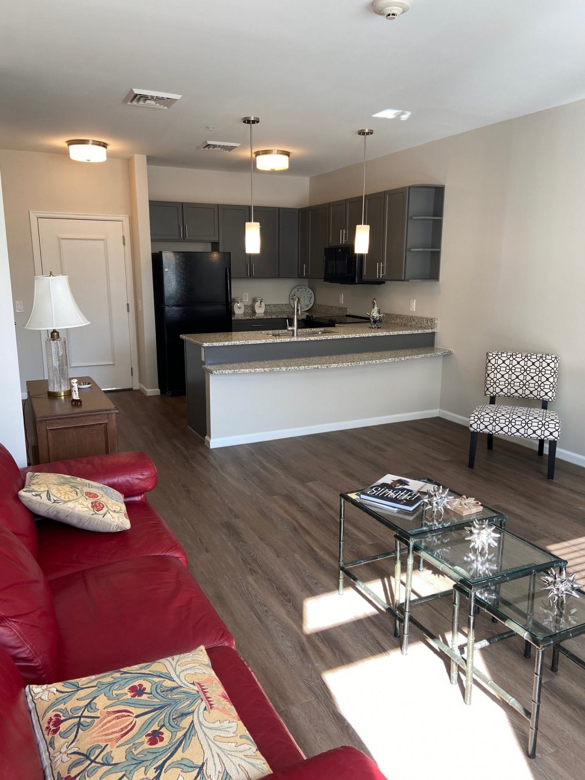 A modern apartment with an open layout showcasing a living room and kitchen area.