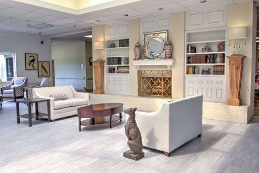 A modern living room showcasing elegant furniture and a cozy fireplace.