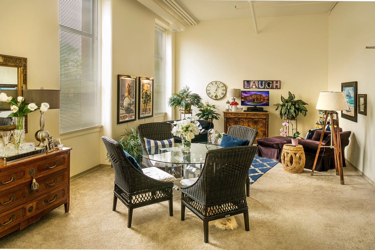 A modern and cozy living room with comfortable seating, stylish decor, and indoor plants.