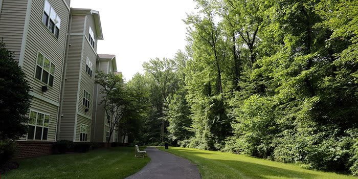 A scenic pathway flanked by lush trees and a residential building on a sunny day.