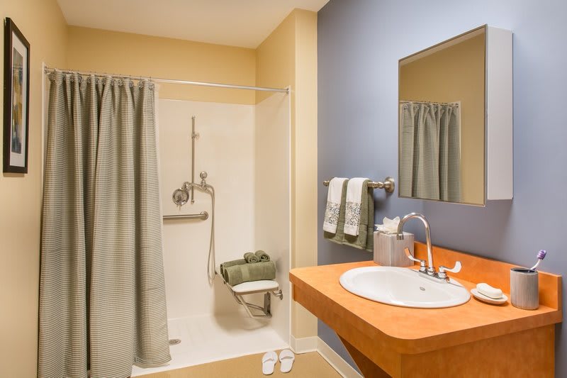 A modern bathroom with a shower, sink, and mirror.