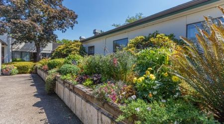 A vibrant garden with a variety of flowers in front of a house on a sunny day.