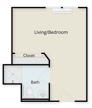 Studio apartment floor plan showcasing a combined living and bedroom area with a separate bathroom and closet.