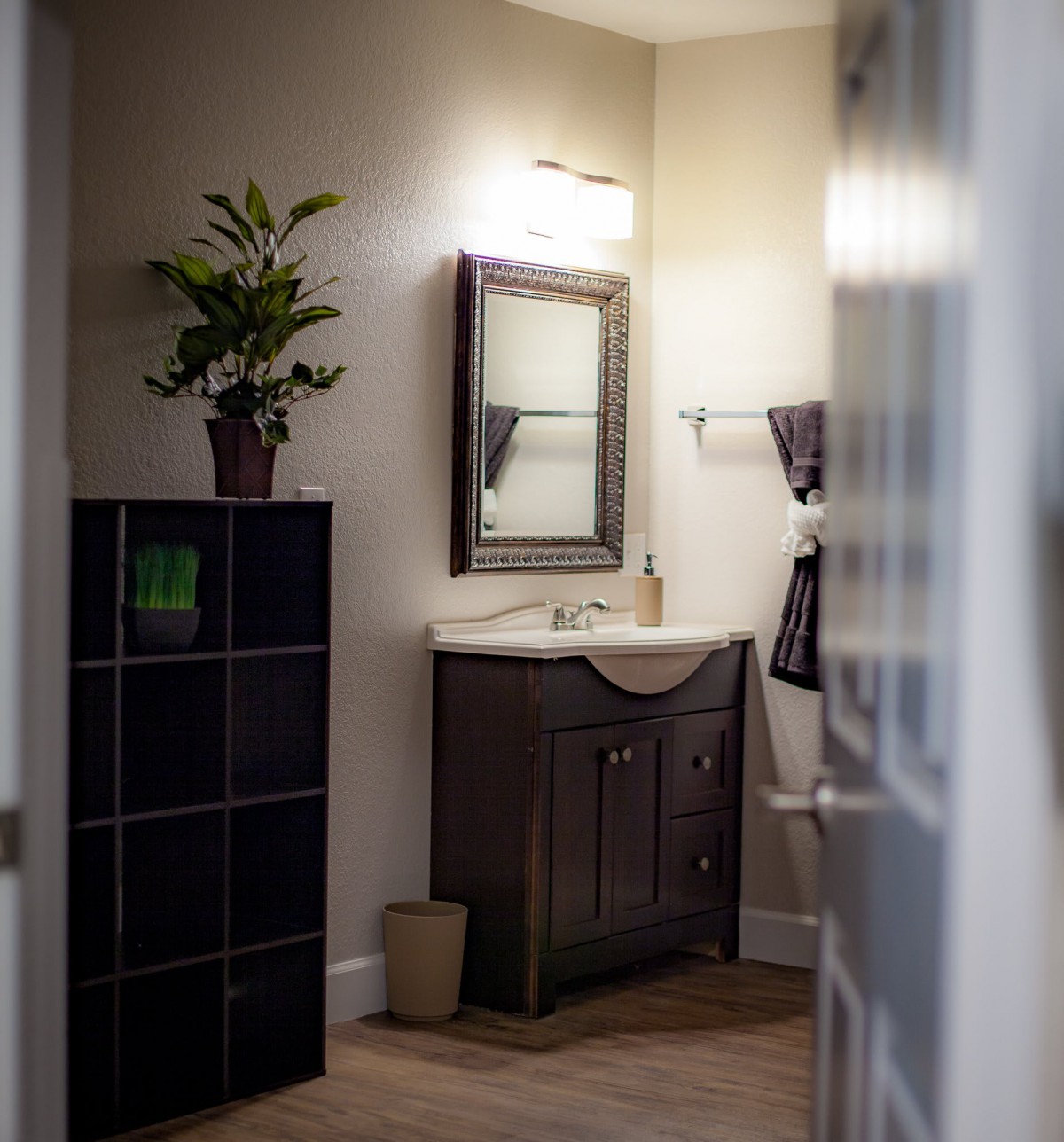 A cozy bathroom with a sink, mirror, and potted plant.