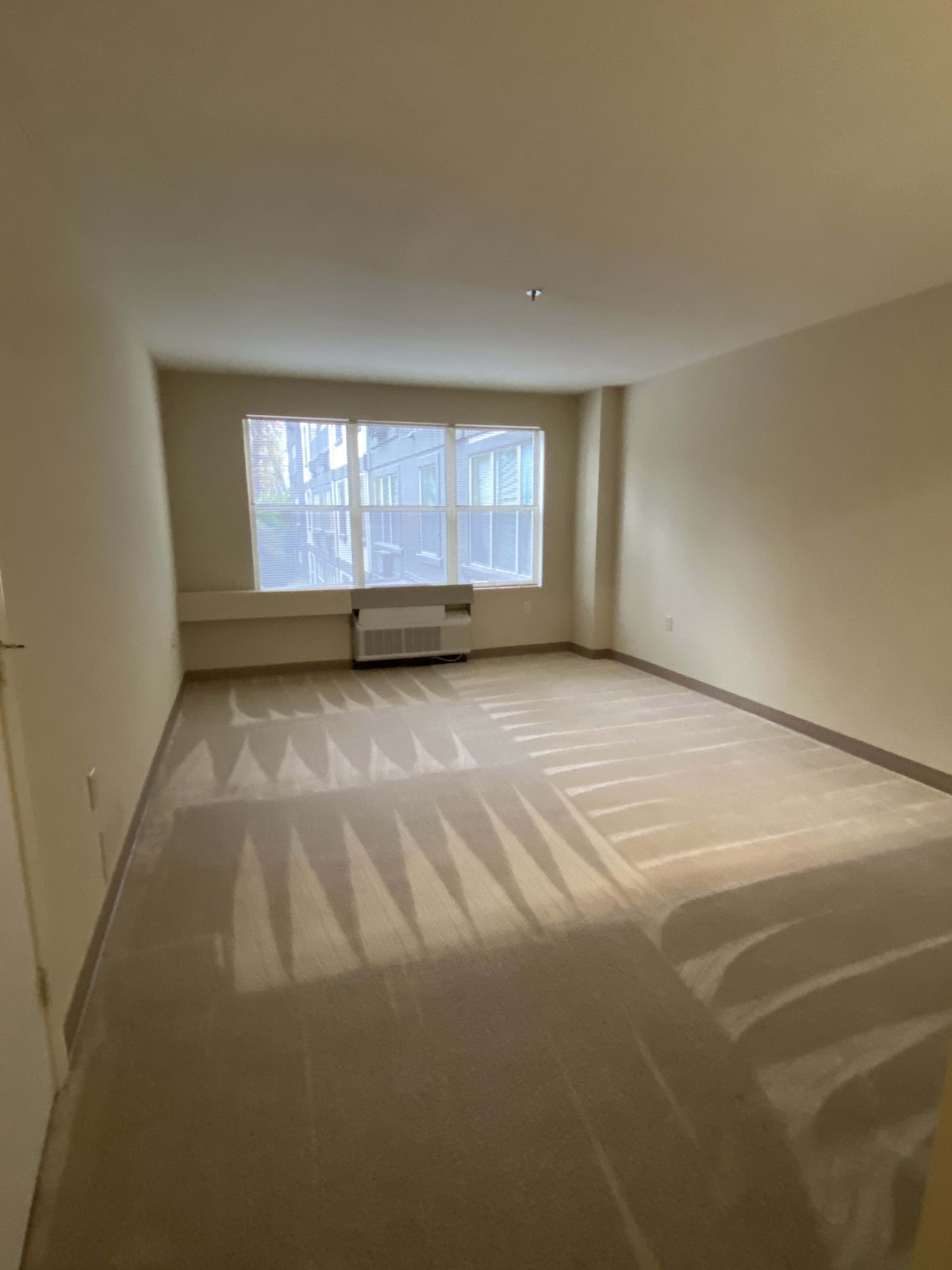 A sunlit, empty room with carpeted flooring and a large window.