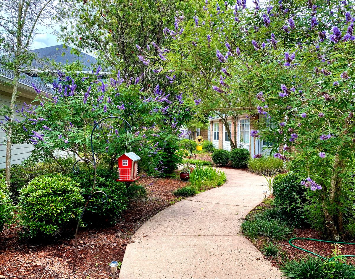 A scenic garden pathway surrounded by lush greenery and blooming flowers.