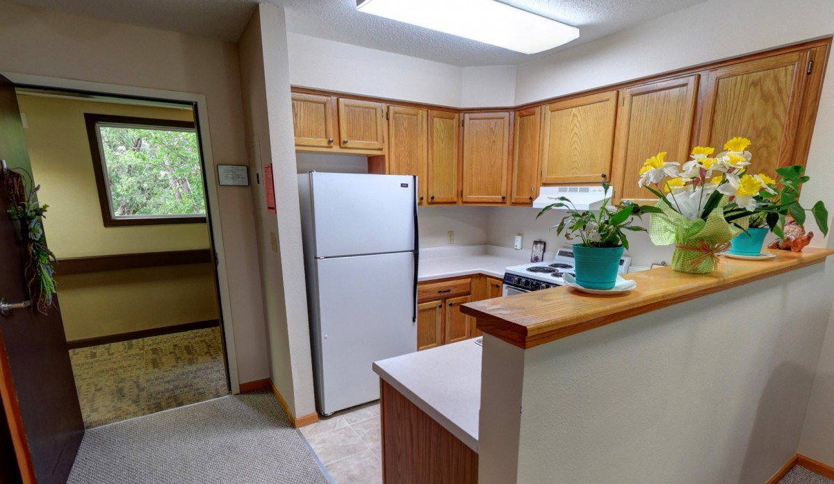 A small apartment kitchen with wooden cabinets, a refrigerator, and a potted plant on the counter.