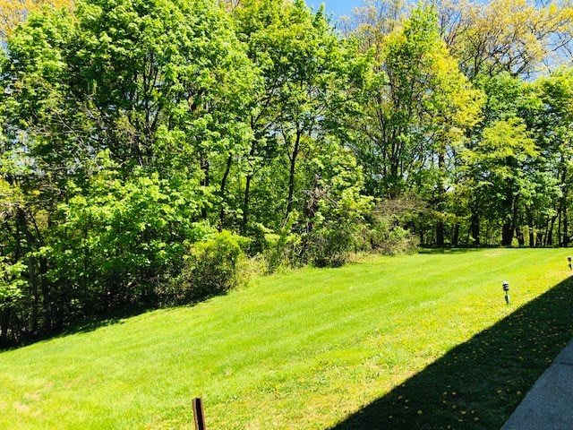 A serene outdoor scene with lush green grass and dense trees under a clear blue sky.