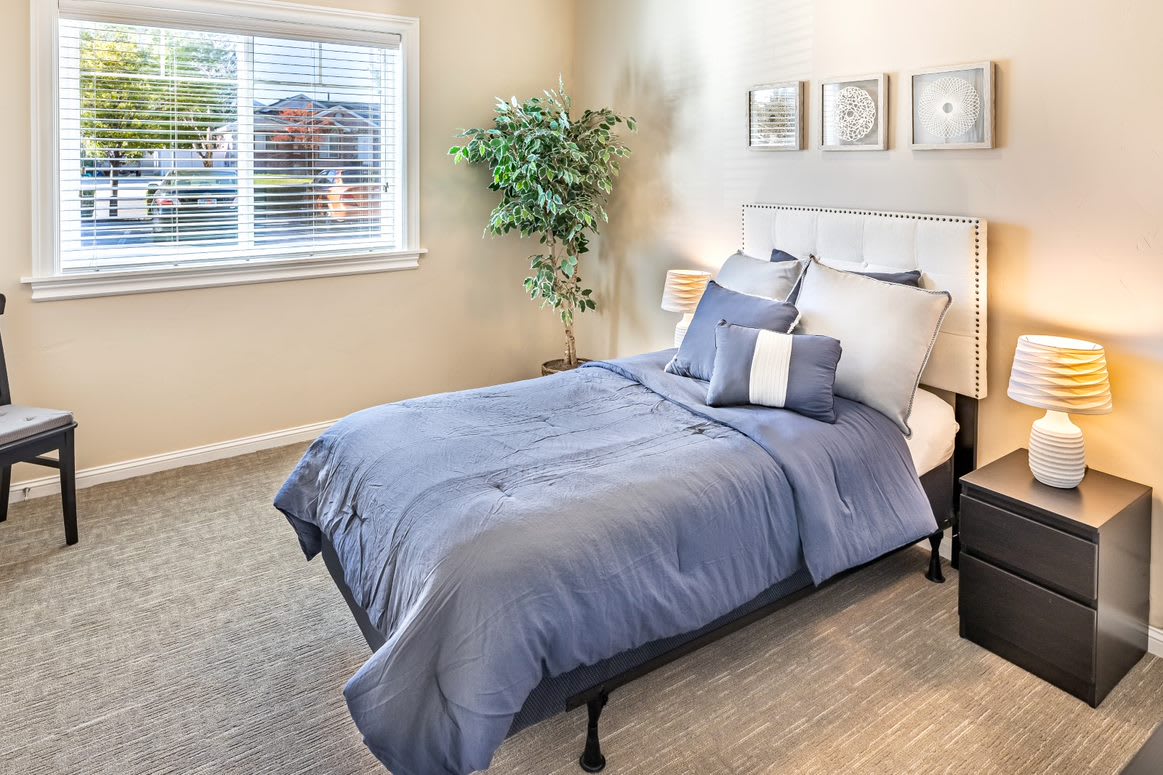 A cozy bedroom with blue bedding and natural light.