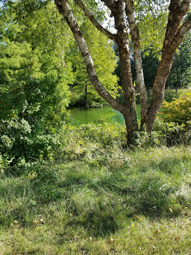A serene view of lush greenery with trees and a tranquil pond in the background.