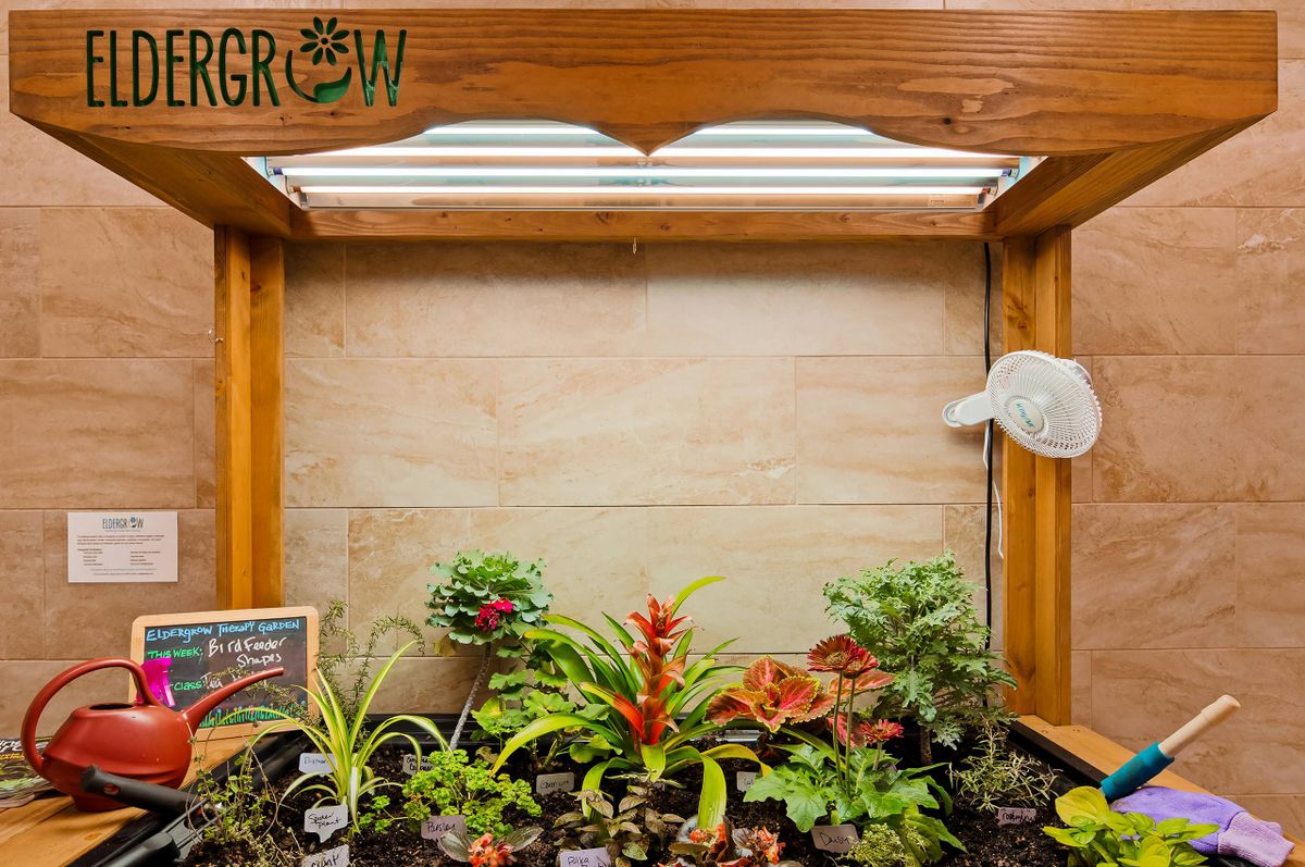 A wooden-framed indoor garden setup with a variety of plants under grow lights.