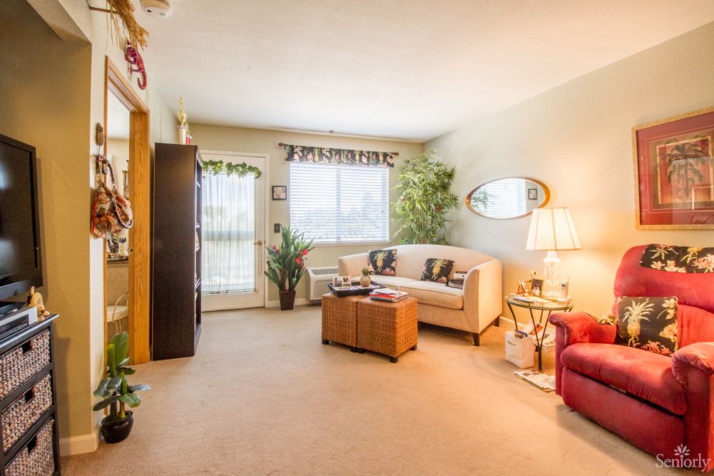 A cozy living room with a sofa, armchair, and various plants, illuminated by a floor lamp.