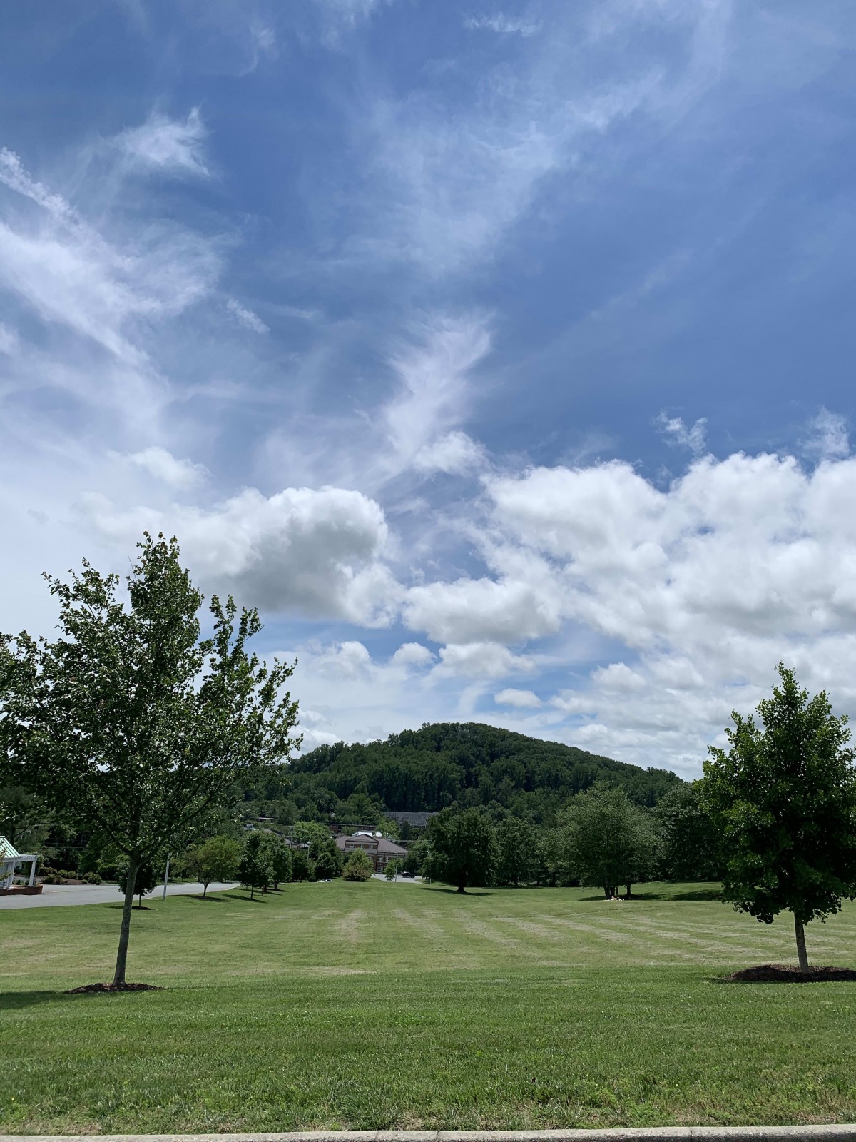 A scenic view of a grassy field with trees and a hill under a partly cloudy sky.
