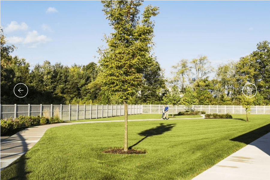 A well-maintained lawn with a tree and fence on a sunny day.