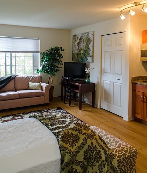 A cozy bedroom with a living area featuring a sofa and television, complemented by warm decor and natural lighting.