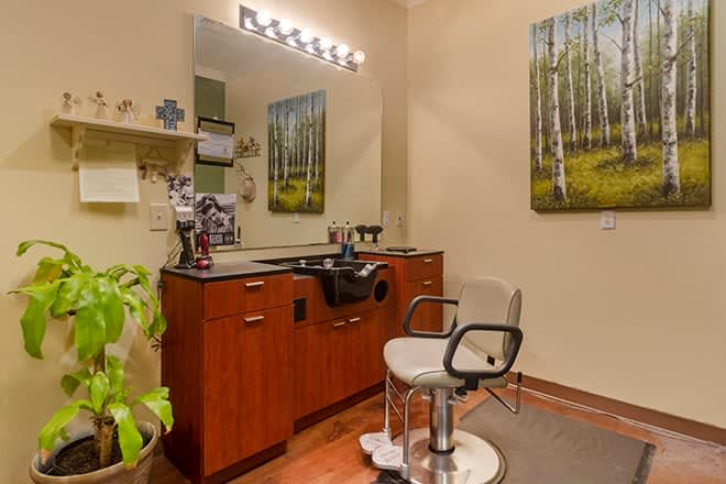 A cozy salon setup with a hairdressing chair, vanity, and lighted mirror.