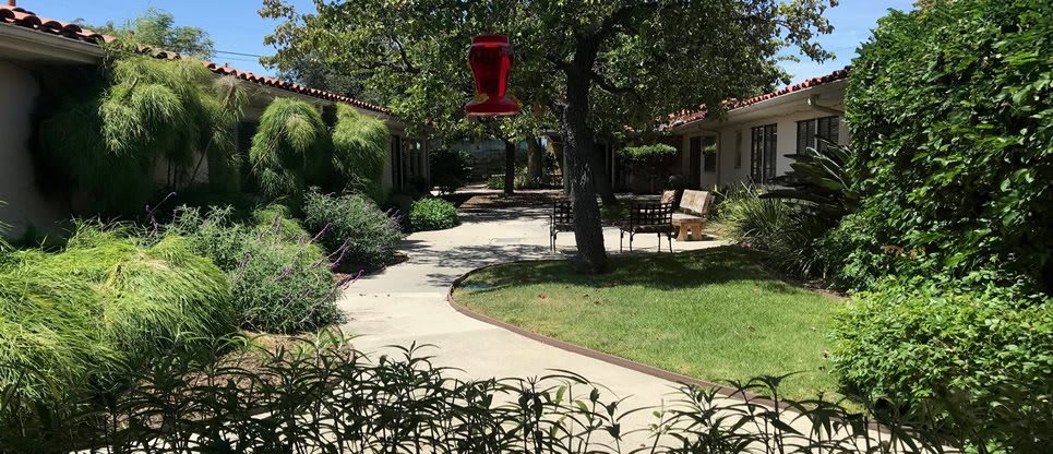 A tranquil garden with a winding pathway surrounded by lush greenery and shaded by trees, featuring a bench for relaxation.