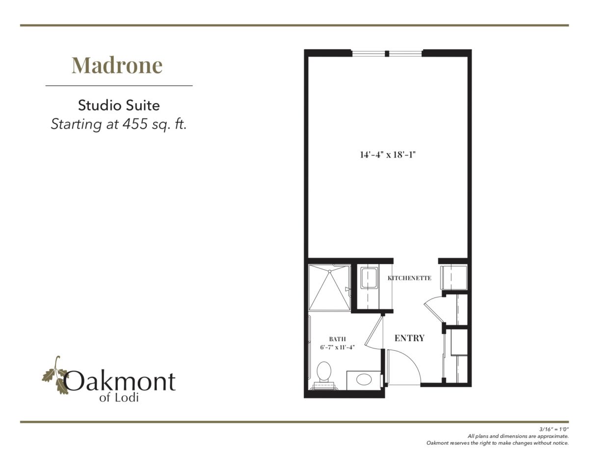 Floor plan of the Madrone studio suite with an area of 455 sq. ft.