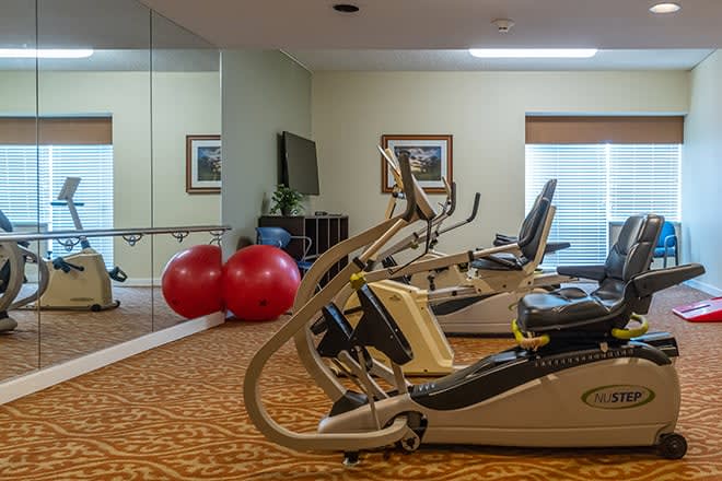A gym with various exercise equipment including treadmills, stationary bikes, and large exercise balls.