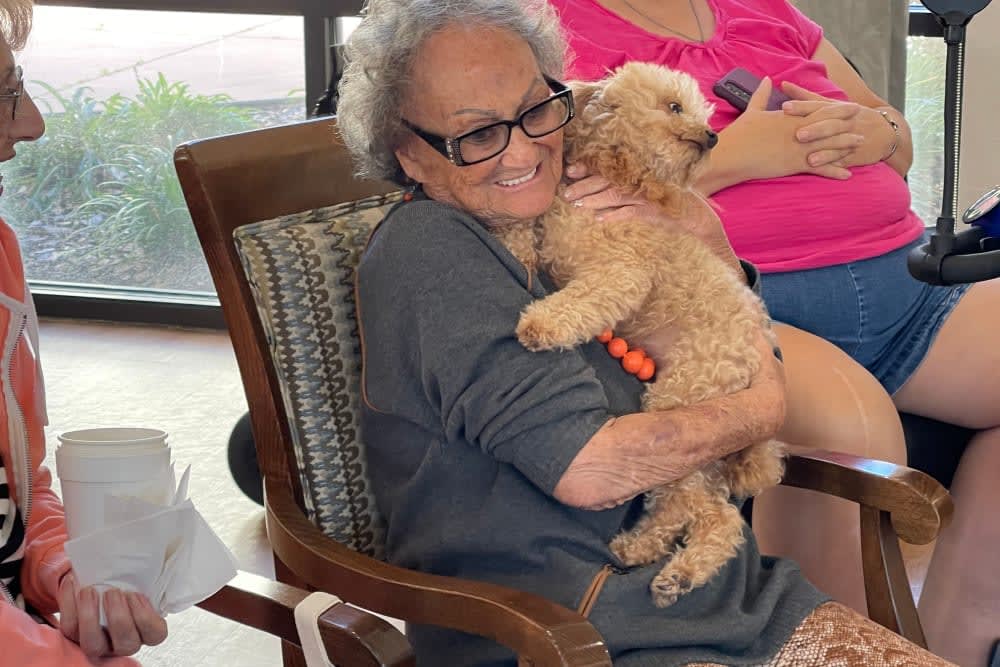 A joyful woman sitting in a chair, hugging a small dog.