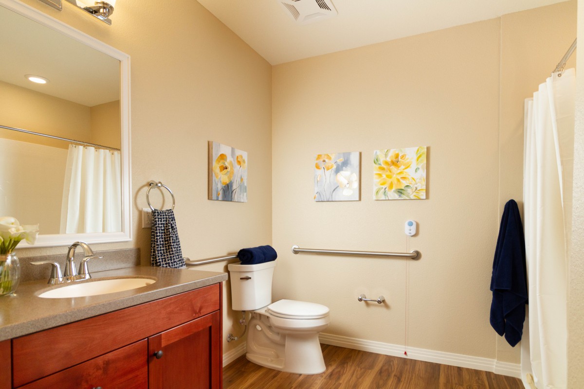 A well-lit bathroom featuring a toilet and sink with artwork on the walls and wood flooring.