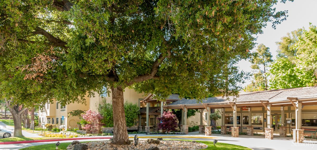 A large tree in front of a building with a covered entrance.