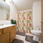 A tidy bathroom featuring a colorful shower curtain, wooden cabinets, and a large mirror above the sink.