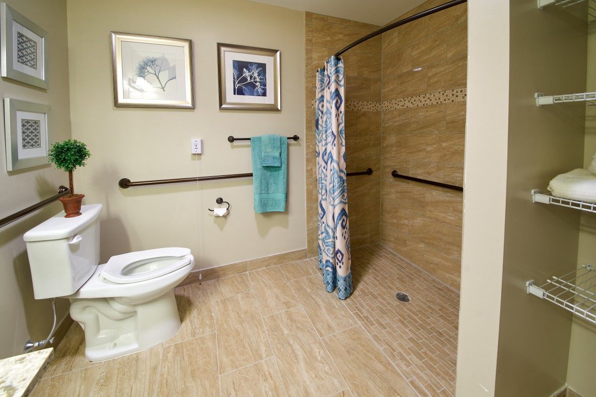 An accessible bathroom with a toilet, shower, grab bars, and decorative artwork on the wall.