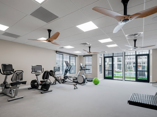 A spacious and modern gym area equipped with various exercise machines and ample natural light.