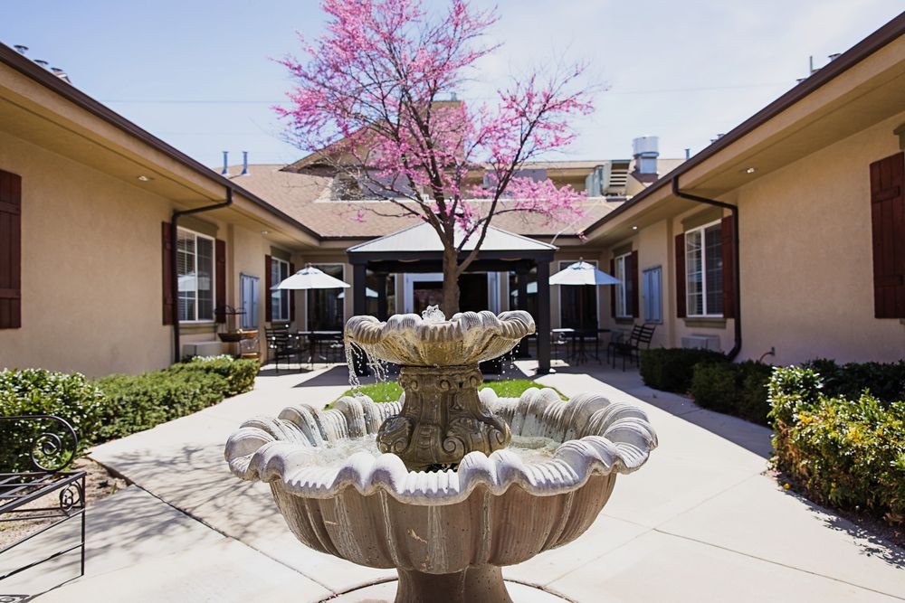 A sunny courtyard featuring a decorative fountain and a blossoming pink tree.