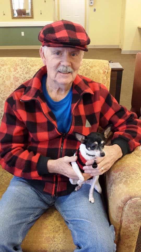 An elderly man sitting on a chair holding a small dog in his lap.