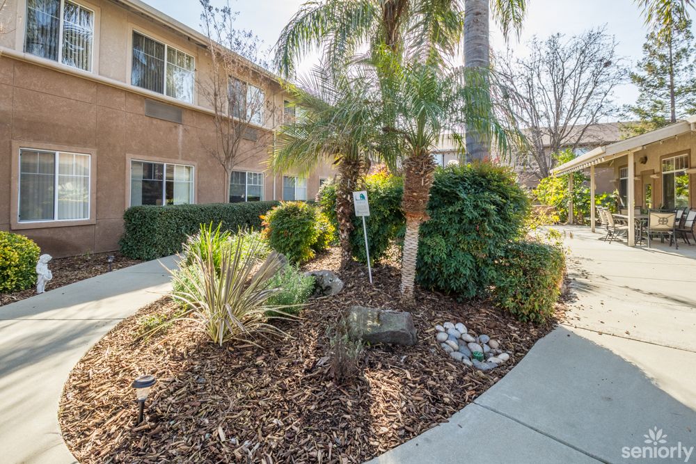 A landscaped area with palm trees and shrubs next to a building and sidewalk.