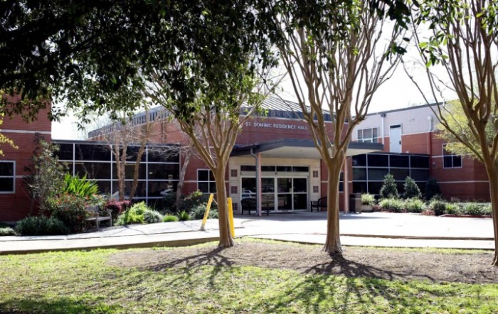 St Dominic Village Nursing Home