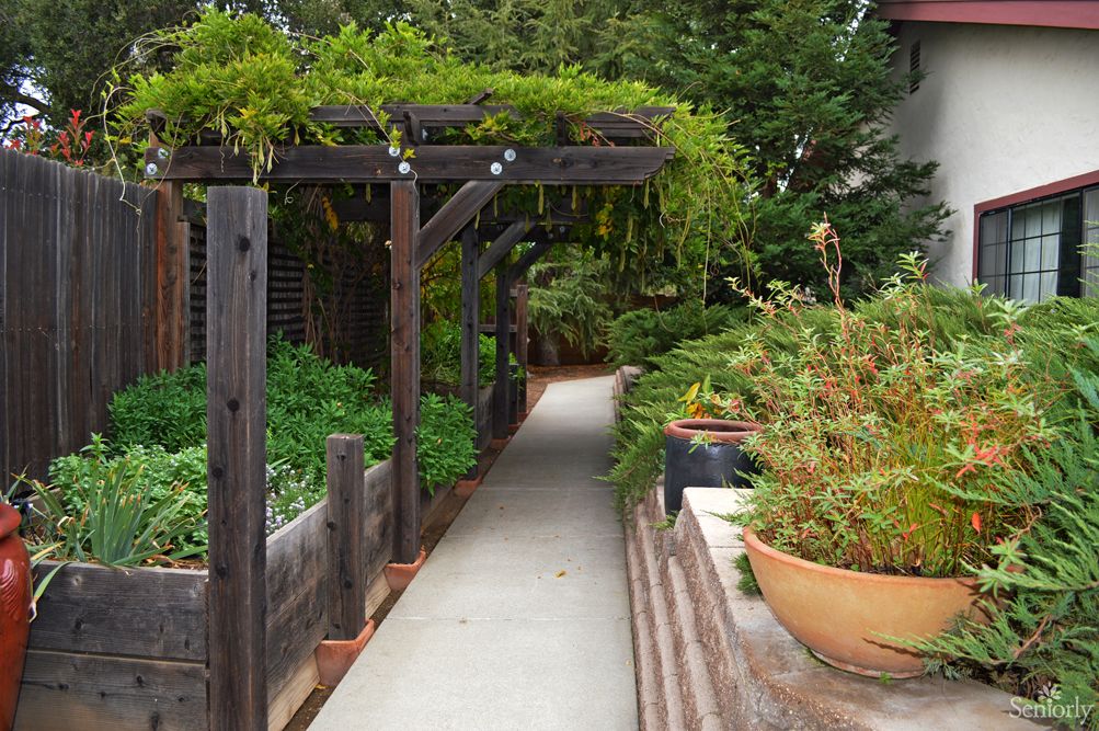 A serene garden pathway shaded by a pergola, surrounded by lush greenery.