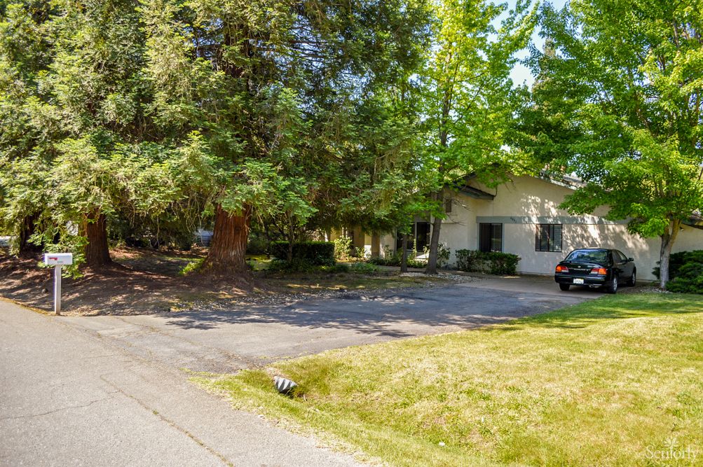A quiet residential house surrounded by lush trees and a driveway.