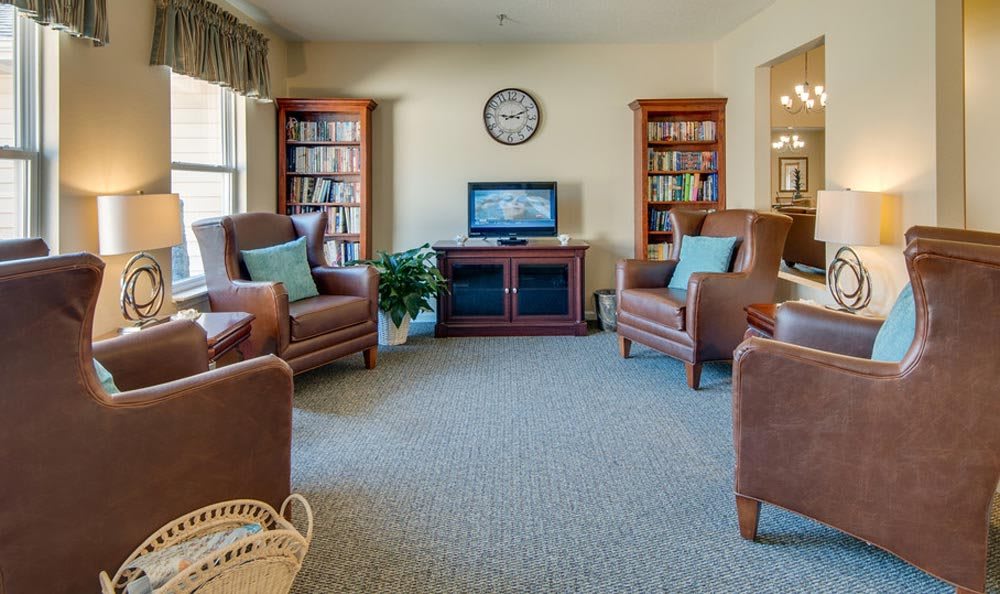 A cozy living room with armchairs, bookshelves, a television, and an indoor plant.