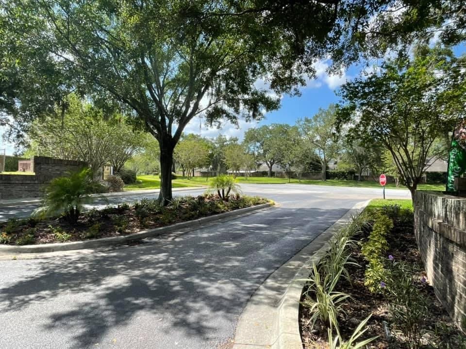 A quiet road surrounded by lush greenery and trees under a clear blue sky.