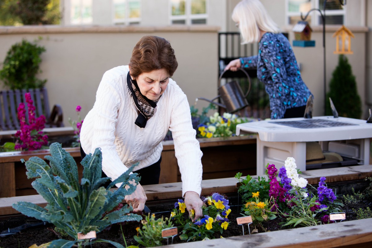 Two women tend to plants and flowers in a garden.