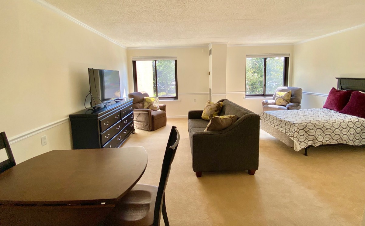 A spacious living room with a sofa, television, and dining area.