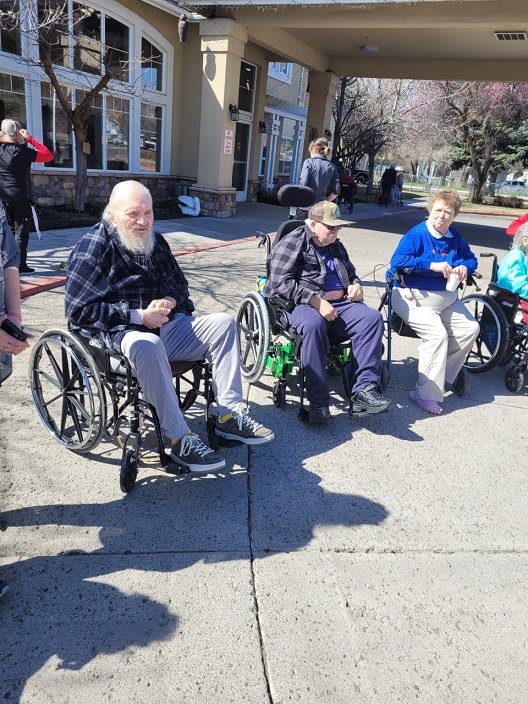 A group of people in wheelchairs enjoying the sunny outdoors on a street.