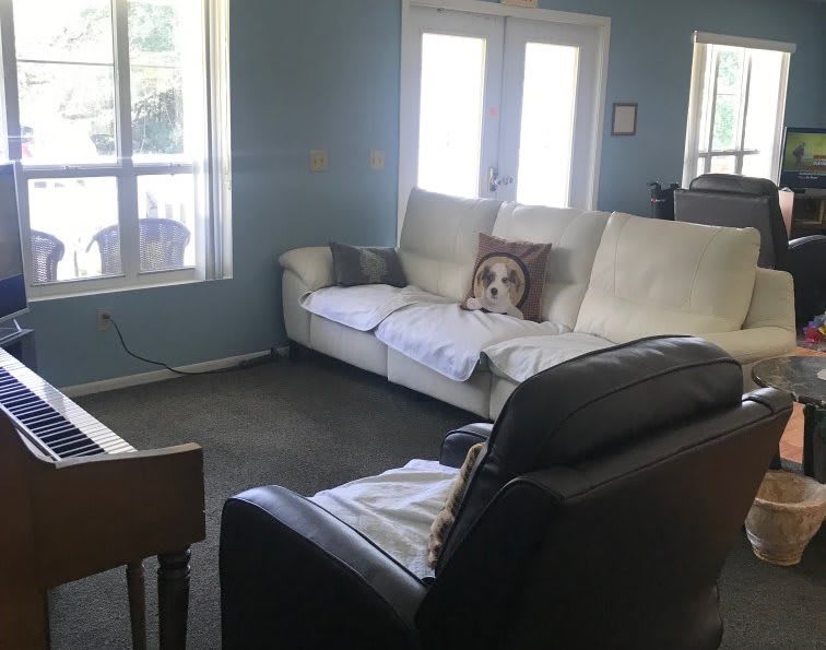 A cozy living room with a white sofa and a dog sitting on it, surrounded by light blue walls and large windows.