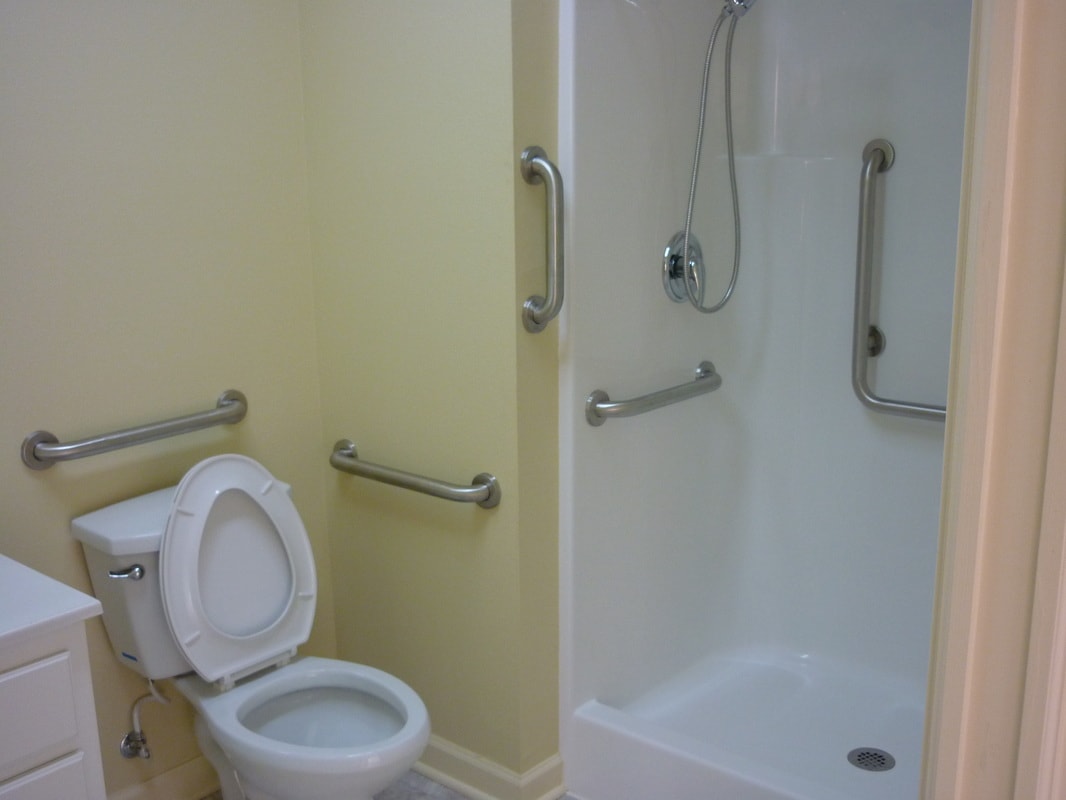 Accessible bathroom with toilet and shower featuring grab bars.