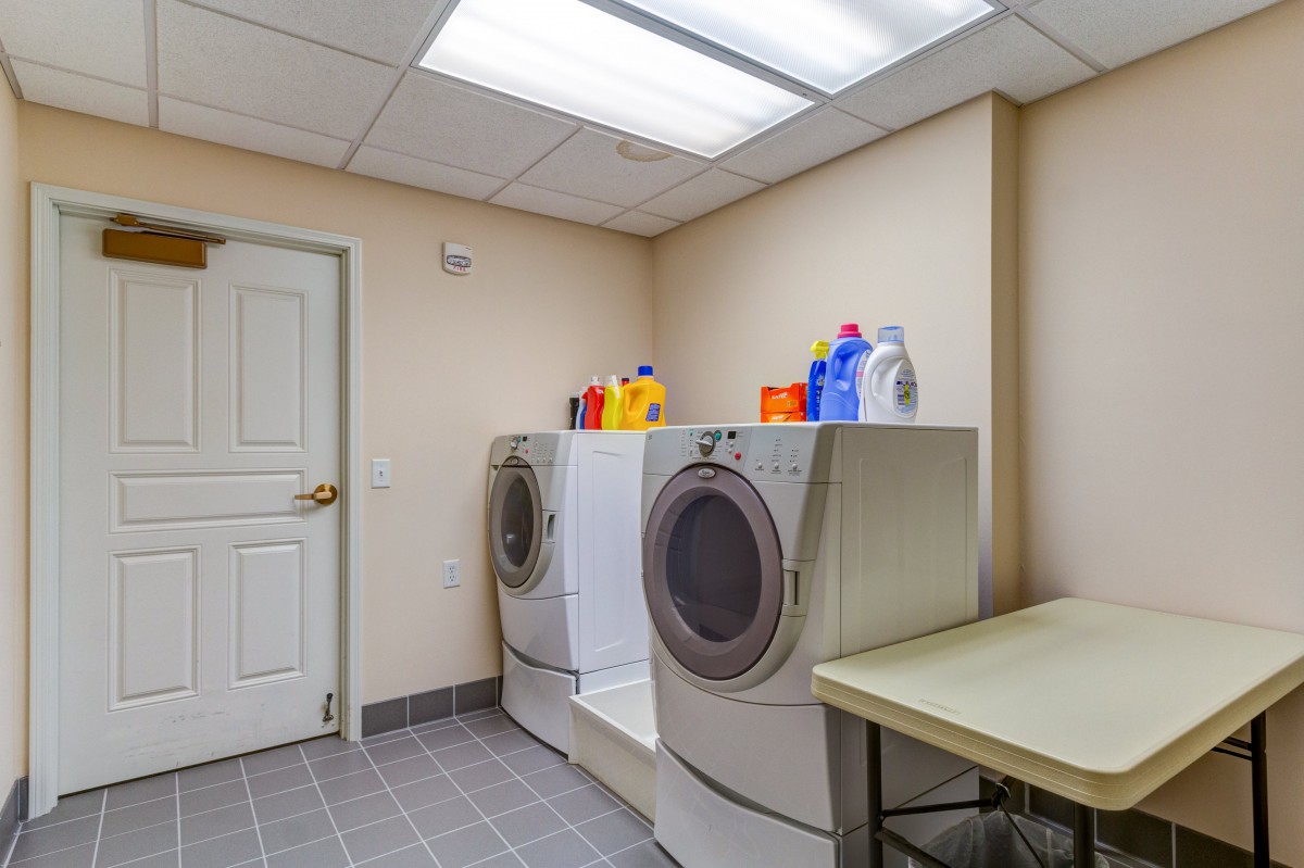 A well-organized laundry room with a washer, dryer, and detergent bottles.